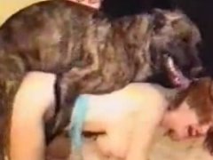 Cachorro comendo duas mulheres