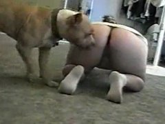 Marido botou no WhatsApp flagra da mulher dando pro cachorro