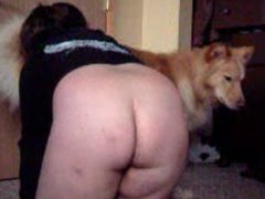 Zoofilia Gordinha amadora pega no pau do cachorro e bate punheta